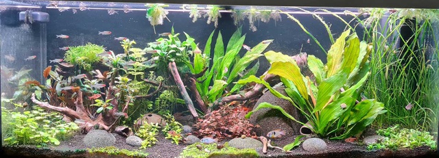 20201231_145409.jpg 20201231_145409.jpg
