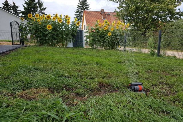 20190811_173957.jpg 20190811_173957.jpg