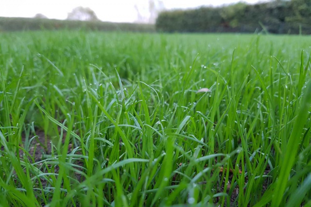 20190927_185747.jpg 20190927_185747.jpg